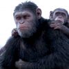 "Планета обезьян: Война" - рецензия на кино не совсем о войне