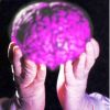 Фиолетовый мозг